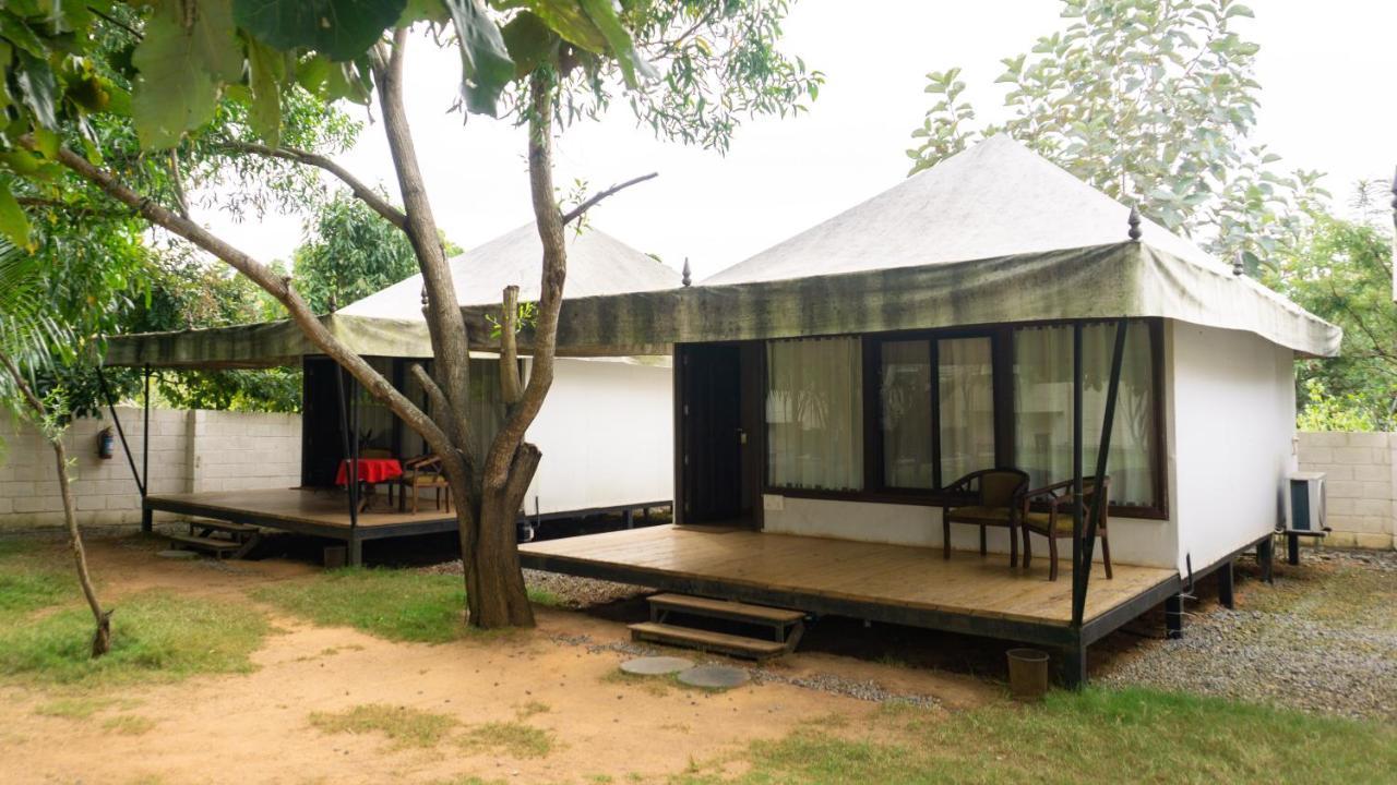 16 Bedouin Hotel โฮซูร์ ภายนอก รูปภาพ